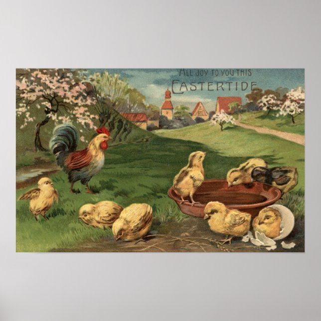 Affiches Coq et poussins (Devant)
