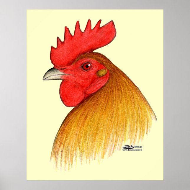 Affiches Coq Gamecock à Crête Simple (Devant)