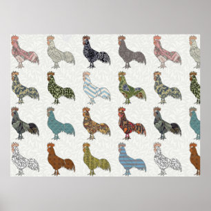Affiches Coq poulet motif coloré ferme