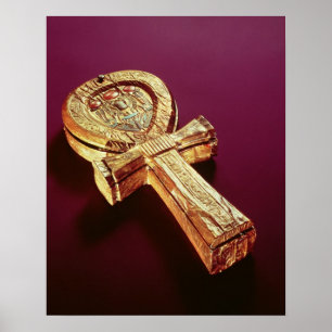 Affiches Coque miroir sous forme de cheville 2