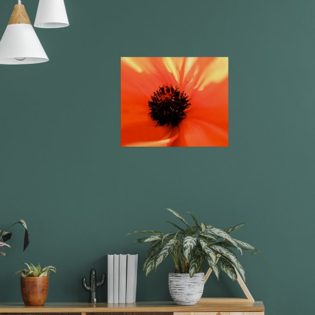 Affiches Coquelicot orange - Personnalisé - Douce (Salon 1)