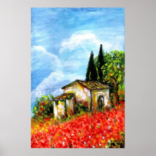 AFFICHES COQUELICOTS EN TOUSCANIE