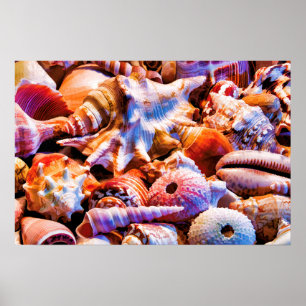 Affiches Coques 1 Alt