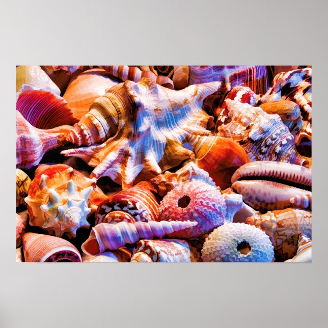 Affiches Coques 1 Alt (Devant)