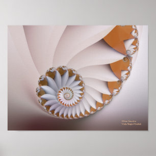 Affiches Coquillage Abstrait blanc Nautilus fin fractal