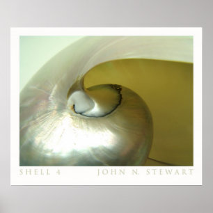 Affiches Coquille #4