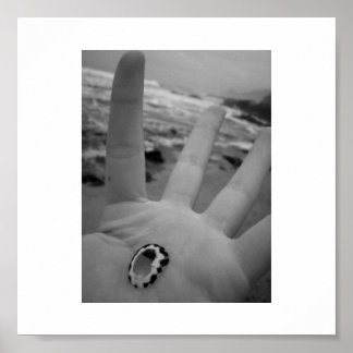 Affiches Coquille en main