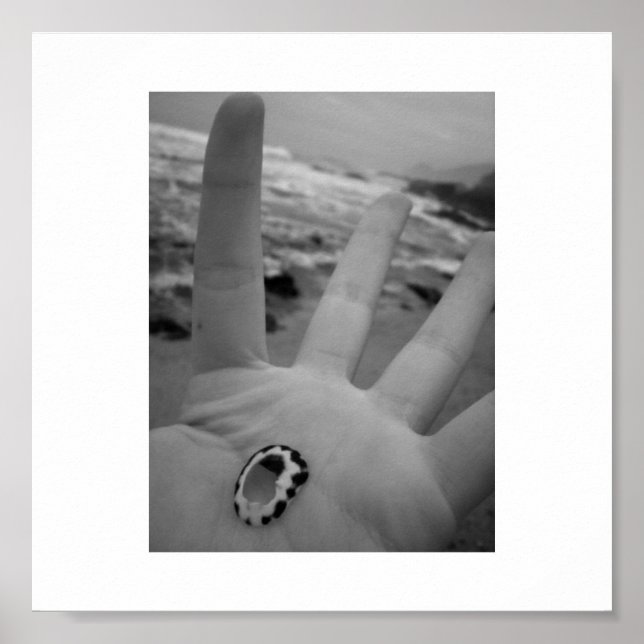 Affiches Coquille en main (Devant)