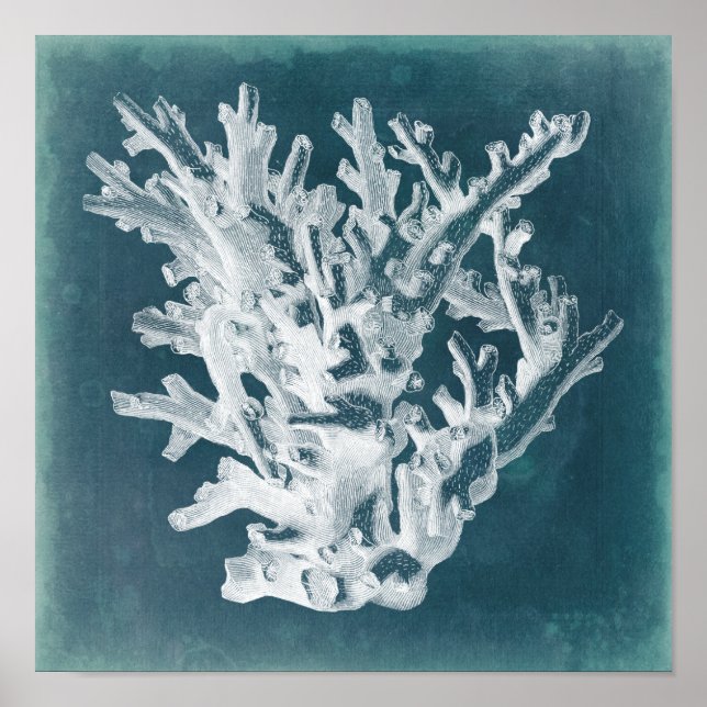 Affiches Corail azur I (Devant)