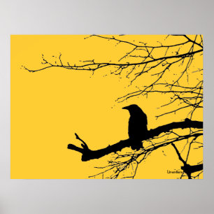 Affiches Corbeau sur l'arbre