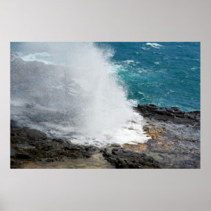 Affiches Corne à couver