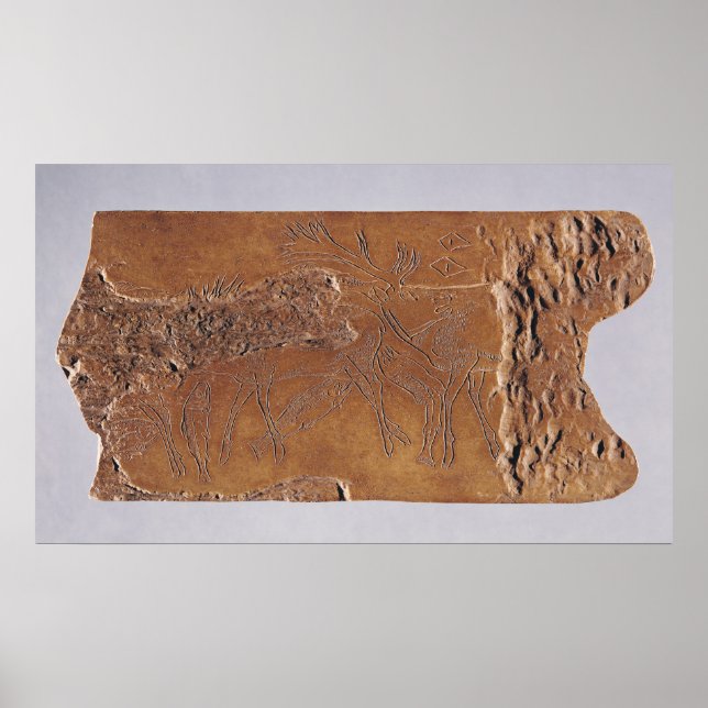 Affiches Corne de rennes sculptée avec cerf et bondissant (Devant)