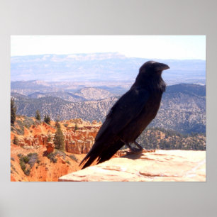 Affiches Corneille de NG