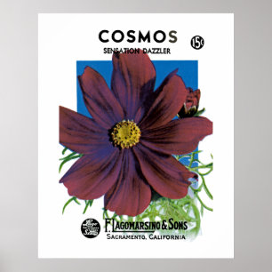 Affiches Cosmos