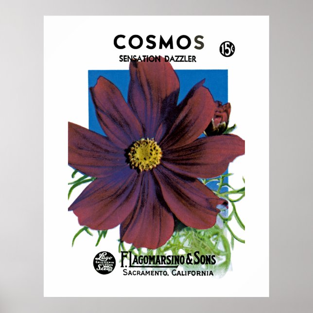 Affiches Cosmos (Devant)
