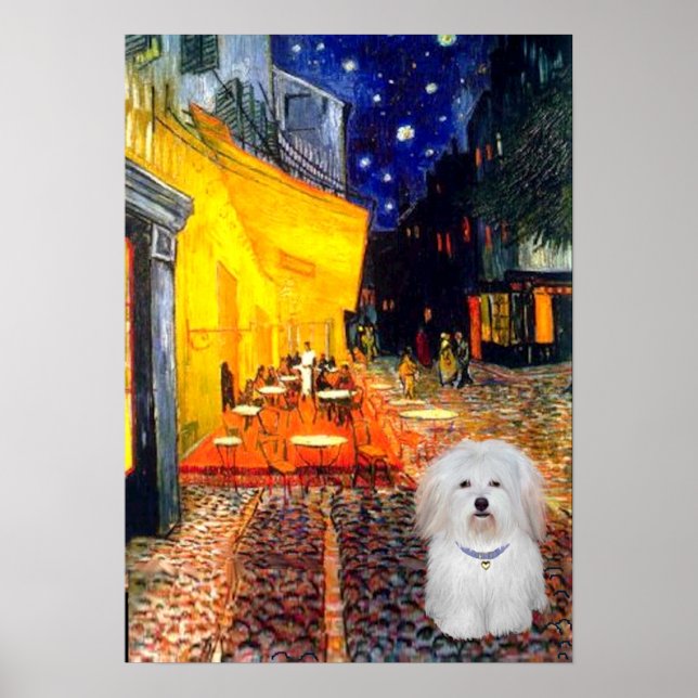 Affiches Coton de Tulear 4b - Café (Devant)