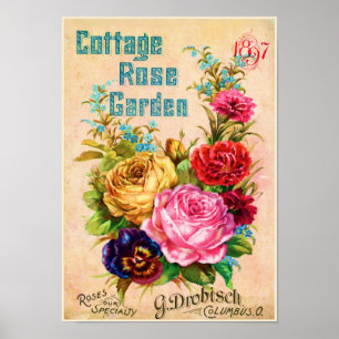 Affiches Cottage Rose Garden Annonce Vintage