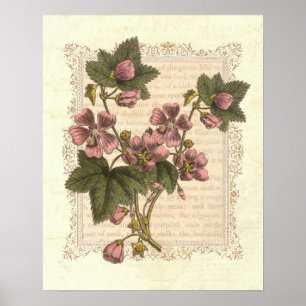Affiches Cottage Shabby Élégance Vintage Décor Floral