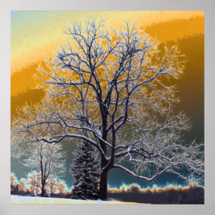 Affiches Coucher de soleil