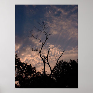 Affiches Coucher de soleil 18