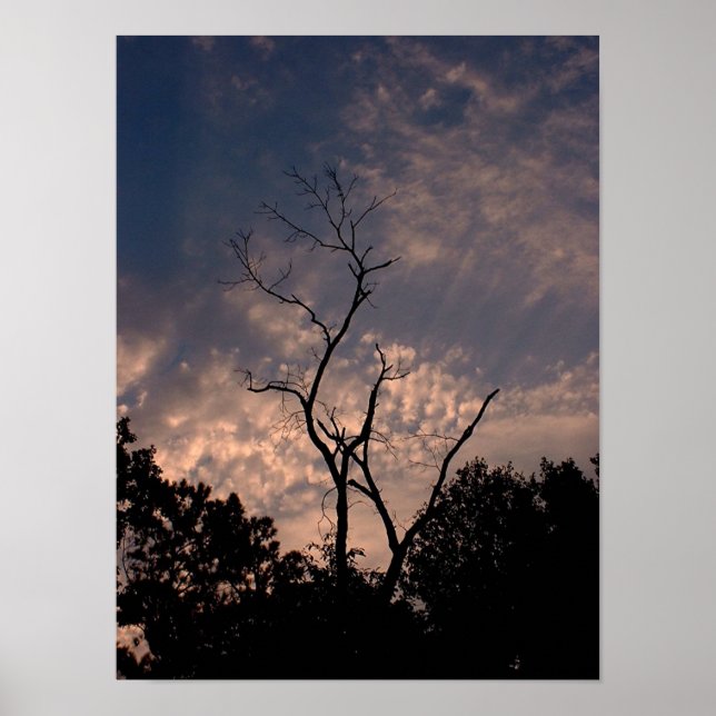 Affiches Coucher de soleil 18 (Devant)