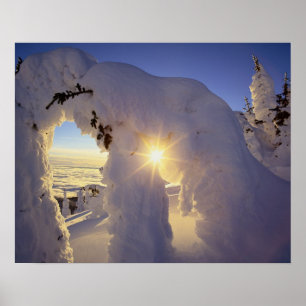 Affiches Coucher de soleil à travers les Snowghosts à Big M