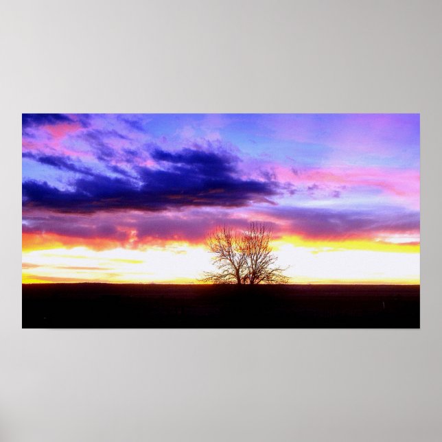 Affiches Coucher de soleil au-delà de l'arbre_ (Devant)