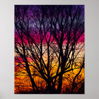 Affiches Coucher de soleil coloré avec un arbre en silhouet