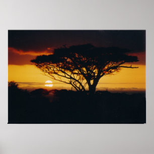 Affiches coucher de soleil d'afrique