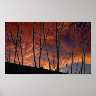 Affiches Coucher de soleil d'automne dans le pays