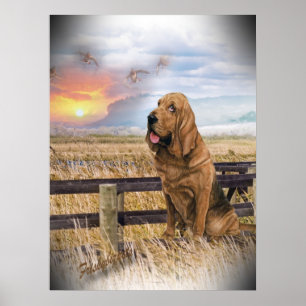 Affiches Coucher de soleil de Bloodhound