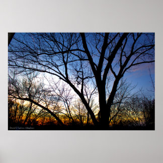 Affiches Coucher de soleil de novembre de ma fenêtre