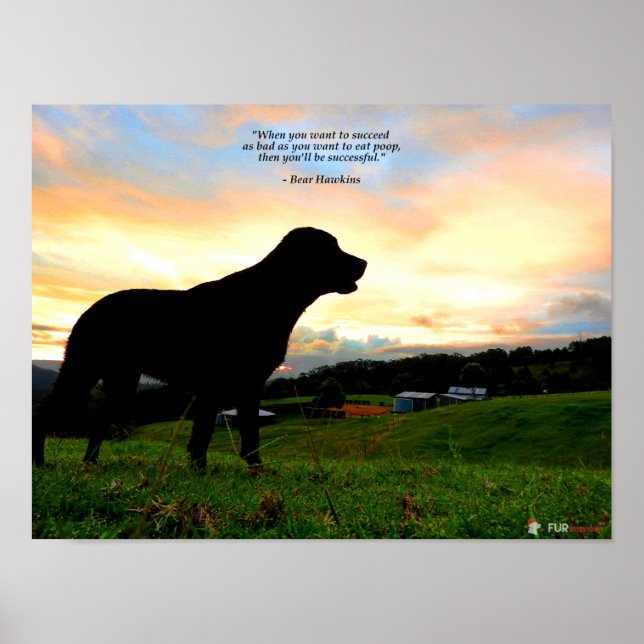 Affiches Coucher de soleil et caca (Devant)