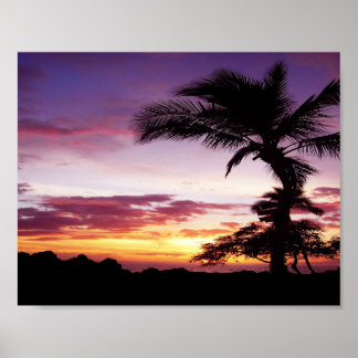 Affiches Coucher de soleil hawaïen