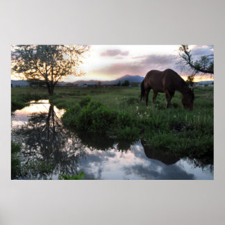 Affiches Coucher de soleil naturel