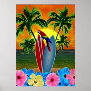 Affiches Coucher de soleil tropical