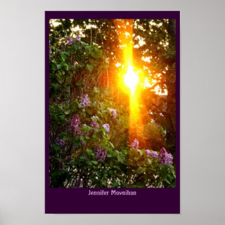 Affiches Coucher du soleil