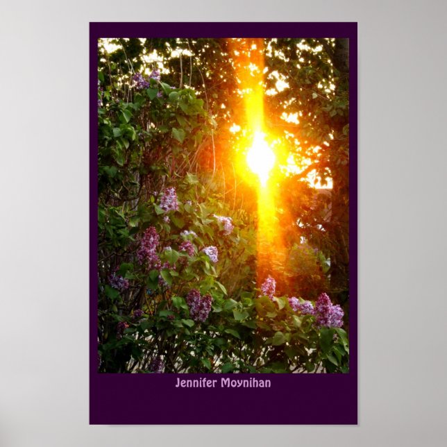 Affiches Coucher du soleil (Devant)