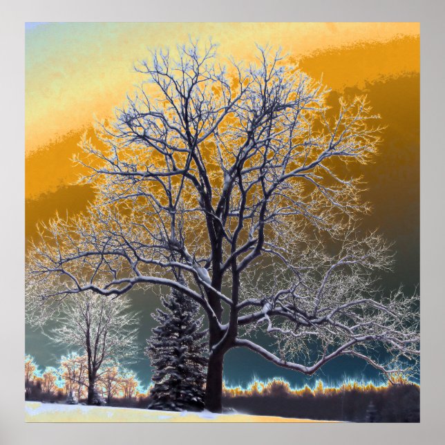 Affiches Coucher du soleil (Devant)