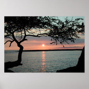 Affiches Coucher du soleil Carmel, CA