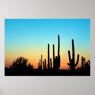 Affiches Coucher du soleil de Saguaro