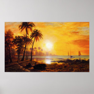 Affiches Coucher du soleil tropical avec l'affiche de