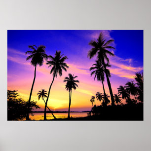 Affiches Coucher du soleil tropical d'île au-dessus du Sri