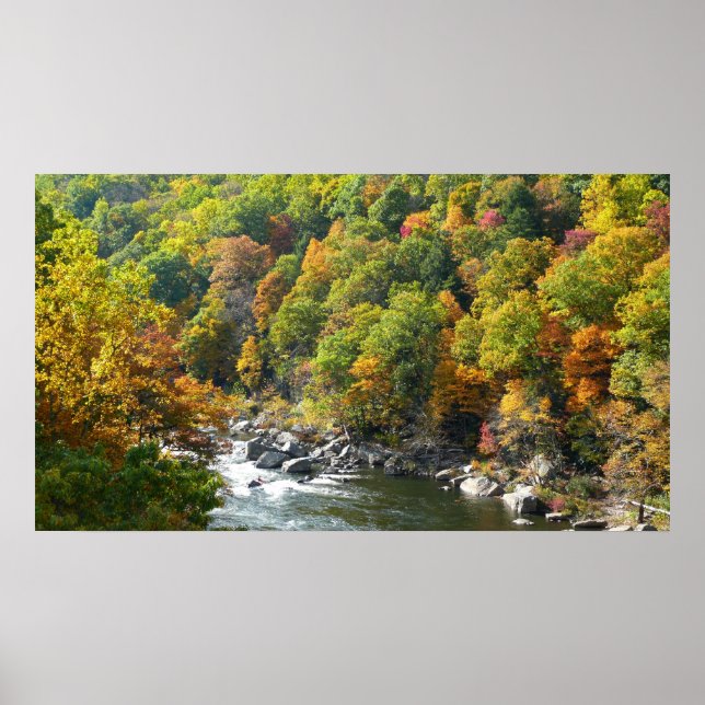 Affiches Couleur d'automne dans le parc d'état d'Ohiopyle (Devant)