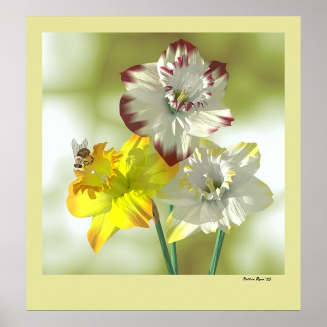 Affiches Couleur préférée (Devant)