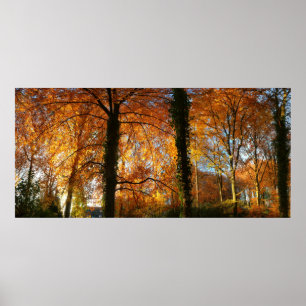 Affiches Couleurs d'automne