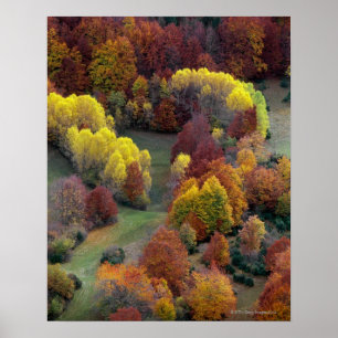 Affiches Couleurs d'automne