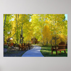 Affiches Couleurs d'automne "de passage couvert d'Aspen",