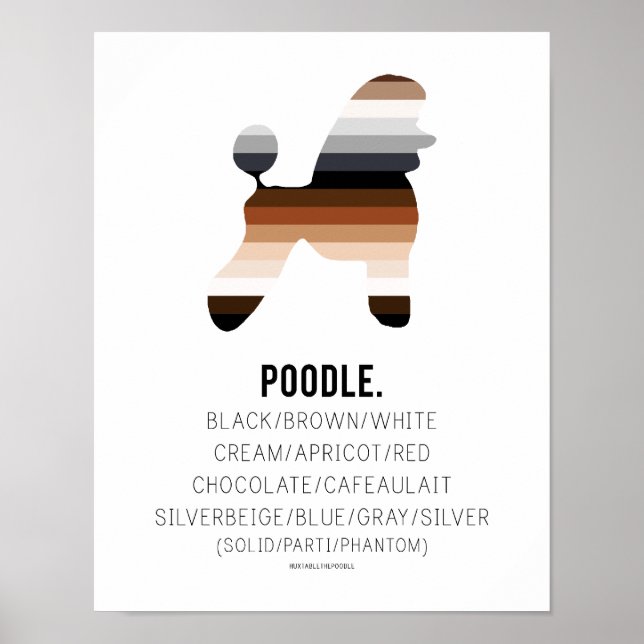 Affiches Couleurs de caniche Imprimer par HUXSHOP (Devant)