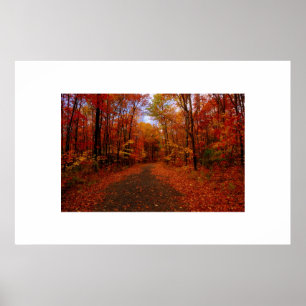 Affiches Couleurs de chute